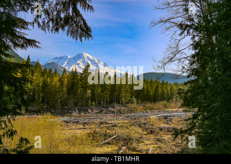 Nisqually River & Mount Rainier, Mt Rainier NP, Washington Stockfoto