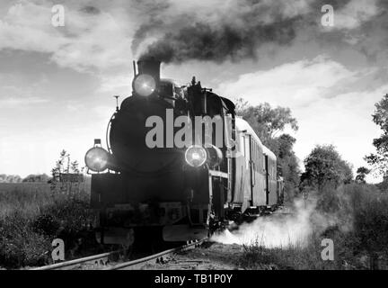 Alte Passagiere den Zug auf den Gleisen. Retro Lokomotive mit Dampfmaschine Schwarz und Weiß. Stockfoto