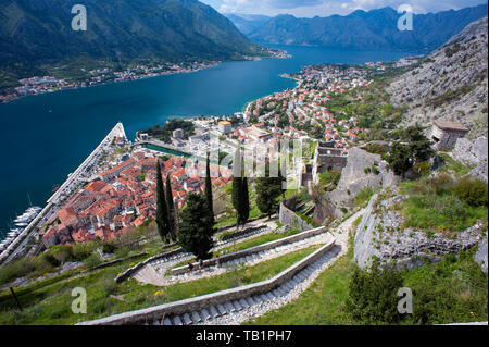 Mit Blick auf die befestigte Hafenstadt Kotor aus der alten Stadtmauer, einer kleinen Stadt während der venezianischen Zeit auf einer Ria gebaut - eine In-tank-ri Stockfoto