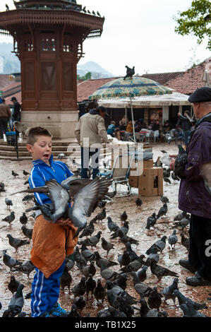 Taubenfütterung in Stari Grad – Sarajevos Altstadt – einem bezaubernden Viertel aus tief geschwungenen Holz- und Steinhäusern am Fluss Miljacka. Stockfoto