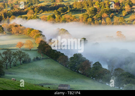 Teesdale, County Durham, UK. 29 Mai, 2019. UK Wetter. Es war ein guter Start in den Tag mit Nebel, die in einigen ländlichen Gebieten in der Grafschaft Durham. Quelle: David Forster/Alamy leben Nachrichten Stockfoto