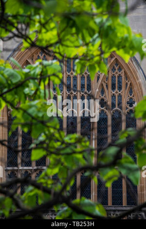 London, Großbritannien. 29. Mai 2019. Der Palast von Westminster ist wieder ruhig als MP's sind auf einer weiteren Pause. Touristen Einblick in seinen friedlichen Zustand durch den Frühling Grün. Credit: Guy Bell/Alamy leben Nachrichten Stockfoto