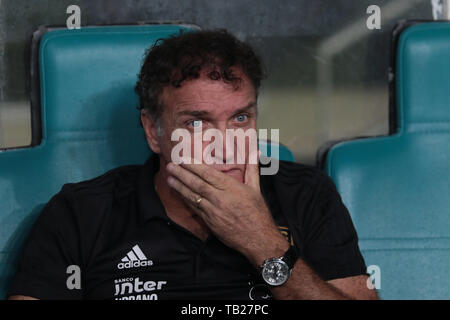 Salvador, Brasilien. 29 Mai, 2019. Cuca, São Paulo Trainer, während eines Spiels zwischen Bahia und São Paulo, die Übereinstimmung durch die 2019 Brasilien Pokalspiel am Mittwoch (29.) An der Fonte Nova Arena in Salvador, Bahia, Brasilien. Credit: Tiago Caldas/FotoArena/Alamy leben Nachrichten Stockfoto