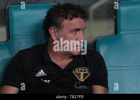 Salvador, Brasilien. 29 Mai, 2019. Cuca, São Paulo Trainer, während eines Spiels zwischen Bahia und São Paulo, die Übereinstimmung durch die 2019 Brasilien Pokalspiel am Mittwoch (29.) An der Fonte Nova Arena in Salvador, Bahia, Brasilien. Credit: Tiago Caldas/FotoArena/Alamy leben Nachrichten Stockfoto