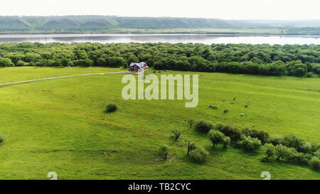 (190530) - HARBIN, 30. Mai 2019 (Xinhua) - Luftaufnahme auf Aug 3, 2017 zeigt die Landschaft des Heilongjiang River in der Nähe von huashan Scenic Area in Huma County, im Nordosten der chinesischen Provinz Heilongjiang. Im Nordosten von China, Provinz Heilongjiang ist weithin für seine ausgeprägte Jahreszeiten und seiner Bemühung, bekannte ökologische Entwicklung zu fördern, besonders in den grösseren und kleineren Khingan Berge. Die Waldfläche in der Khingan Berge, die als wichtiges Ökosystem Wald Funktion Zone und eine Reserve von strategischer Bedeutung für Schnittholz Ressourcen in China angesehen wird, spielt eine irreplacea Stockfoto