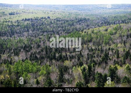 (190530) - HARBIN, 30. Mai 2019 (Xinhua) - Foto am 15. Mai 2019 zeigt die Landschaft der Tangwang River Forest Scenic Area im Nordosten Chinas Yichun, Provinz Heilongjiang. Im Nordosten von China, Provinz Heilongjiang ist weithin für seine ausgeprägte Jahreszeiten und seiner Bemühung, bekannte ökologische Entwicklung zu fördern, besonders in den grösseren und kleineren Khingan Berge. Die Waldfläche in der Khingan Berge, die als wichtiges Ökosystem Wald Funktion Zone und eine Reserve von strategischer Bedeutung für Schnittholz Ressourcen in China angesehen wird, spielt eine unersetzliche Rolle bei der Aufrechterhaltung der Na Stockfoto