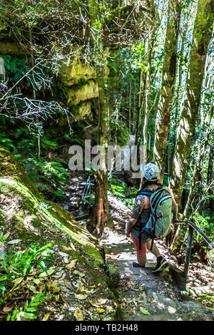 Mädchen wandern ein Wald-Studie Stockfoto