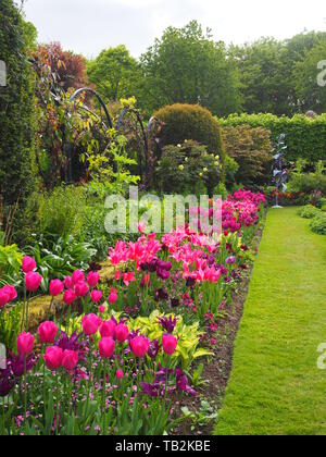 Hochformat von chenies Manor versunkenen Garten im Mai, frisches neues Wachstum und bunte Tulpen Sorten. Stockfoto