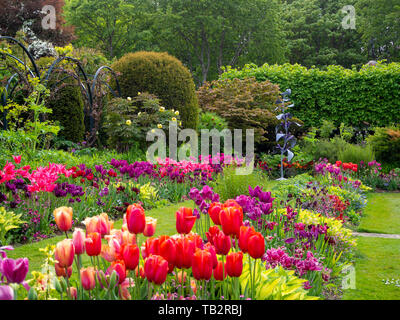 Chenies Manor Sunken Garden mit rot, orange, lila, lila Tulpe Sorten. Jenny Pickford Garten Skulptur, Hecke, Formschnitten und Torbogen framing. Stockfoto