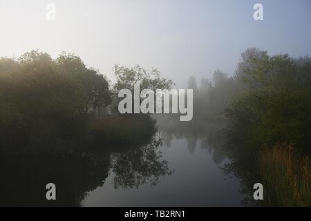 Schöne Misty Morning auf dem Fluss mit Glas wie Reflexionen. Stockfoto