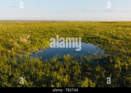 Blick über die Weite der Tallgrass Prairie Preserve im Frühjahr, Grünland und ein kleines Tau Teich. Stockfoto