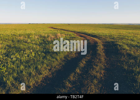 Blick über die Weite der Tallgrass Prairie Preserve im Frühjahr, mit üppigem Gras und ein gut genutzt. Stockfoto