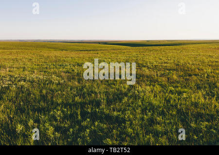 Blick über die Weite der Tallgrass Prairie Preserve im Frühjahr, mit üppigem Gras sich bis an den Horizont. Stockfoto