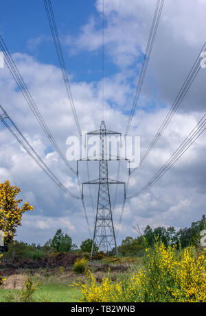 Strom Pylon in East Yorkshire Stockfoto