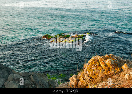 Landschaft mit Meer Felsen mit grünen Algen und Steilküsten mit gelben Flechten in klaren sonnigen Sommertag überwachsen Stockfoto