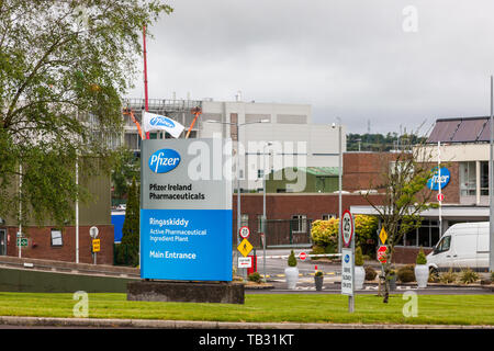 Ringaskiddy, Cork, Irland. 29 Mai, 2019. Pfizer Pharmaceuticals sind in diesem Monat ihren 50. Jahrestag in Irland Kennzeichnung. Die Beschäftigung von gewachsen Stockfoto