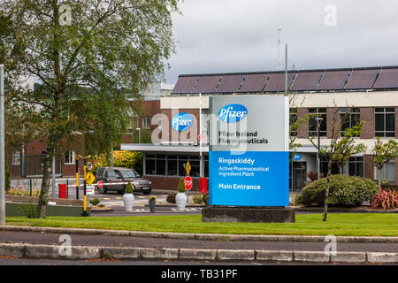 Ringaskiddy, Cork, Irland. 29 Mai, 2019. Pfizer Pharmaceuticals sind in diesem Monat ihren 50. Jahrestag in Irland Kennzeichnung. Die Beschäftigung von gewachsen Stockfoto