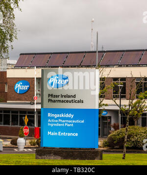 Ringaskiddy, Cork, Irland. 29 Mai, 2019. Pfizer Pharmaceuticals sind in diesem Monat ihren 50. Jahrestag in Irland Kennzeichnung. Die Beschäftigung von gewachsen Stockfoto