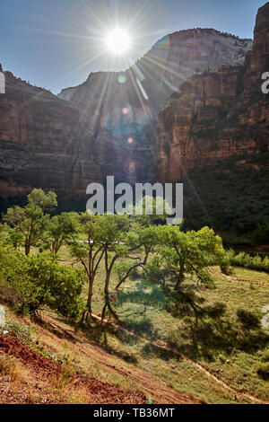 Sonnenaufgang im Zion National Park, Utah, USA, Nordamerika Stockfoto