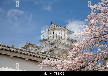 Himeji Castle und Kirschblüte mit blauen, Cloud-Himmel Hintergrund. Auch als die weißen Reiher (Shirasagijo) Es ist ein UNESCO-Weltkulturerbe bekannt. Stockfoto