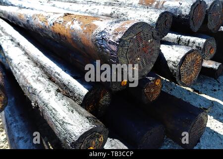 Mit Kreosot behandeltes Holz, das als utility Pole verwendet. Diese Behandlung die Polen von den Elementen und von Schädlingen wie Termiten zu schützen. Stockfoto