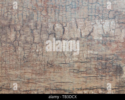 Alte verwitterte Oberfläche von Holz mit Rissen. Hintergrund Textur Konzept. Stockfoto