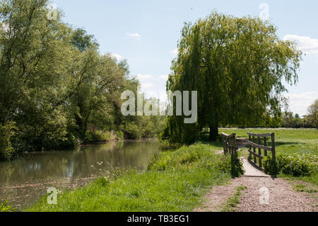 Ein Blick auf den Fluss Cam auf dem Fußweg in Richtung Grantchester, Cambridge, Großbritannien Stockfoto