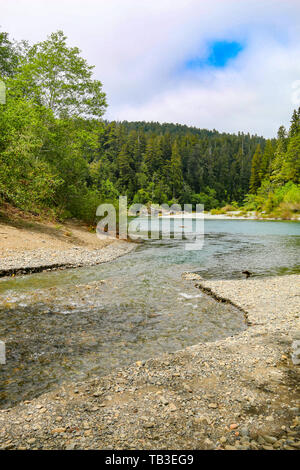 Smith River, Stout Memorial Grove, Kalifornien Stockfoto