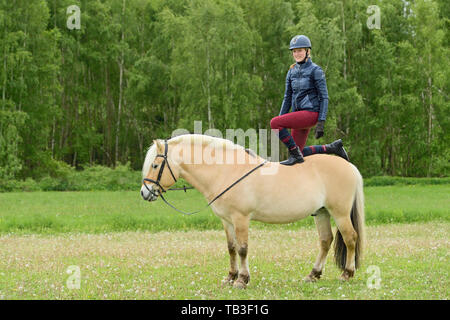 Nur so zum Spaß. Junge Reiter auf norwegischen Fjord Pferd Stockfoto