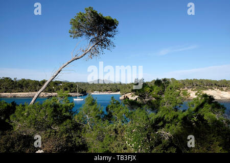 24.03.2017, Portopetro, Mallorca, Spanien - Blick auf die Bucht der Cala Mondrago. 0 RL 170324 D 011 CAROEX.JPG [MODEL RELEASE: NEIN PROPERTY RELEASE: NEIN (c) caro Ich Stockfoto