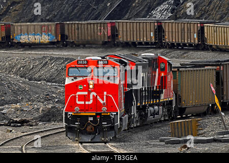 Ein Canadian National Railway Güterzug Steinkohle zu Kohle in den Ausläufern der Rocky Mountains von Alberta Kanada laden Stockfoto