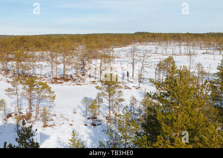 Viru Raba Sumpfland von oben im Winter verschneite Jahreszeit. Lahemaa Nationalpark in Estland. Winter kalt und frostig Landschaft. Stockfoto