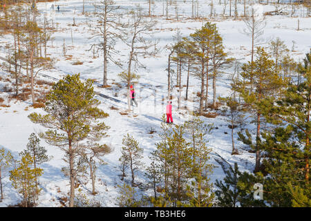 Viru Raba Sumpfland von oben im Winter verschneite Jahreszeit. Lahemaa Nationalpark in Estland. Winter kalt und frostig Landschaft. Stockfoto