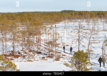 Viru Raba Sumpfland von oben im Winter verschneite Jahreszeit. Lahemaa Nationalpark in Estland. Winter kalt und frostig Landschaft. Stockfoto