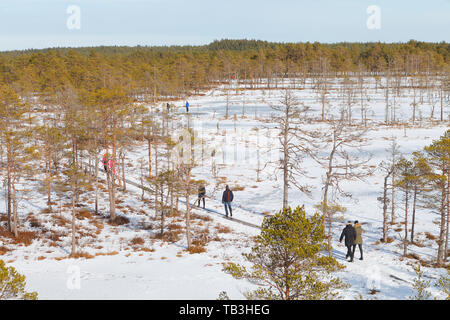 Viru Raba Sumpfland von oben im Winter verschneite Jahreszeit. Lahemaa Nationalpark in Estland. Winter kalt und frostig Landschaft. Stockfoto