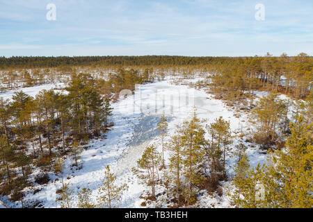 Viru Raba Sumpfland von oben im Winter verschneite Jahreszeit. Lahemaa Nationalpark in Estland. Winter kalt und frostig Landschaft. Stockfoto