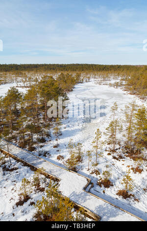 Viru Raba Sumpfland von oben im Winter verschneite Jahreszeit. Lahemaa Nationalpark in Estland. Winter kalt und frostig Landschaft. Stockfoto