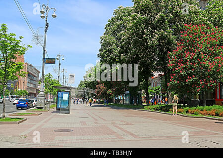 Kiew, Ukraine - 18. MAI 2019: Blühende Kastanien und Gebäude auf die Khreshchatyk Straße Stockfoto
