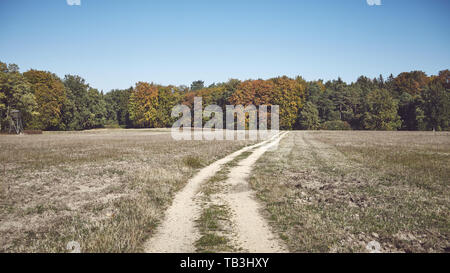 Retro getonten Bild von einem Feldweg in Richtung Wald führt. Stockfoto