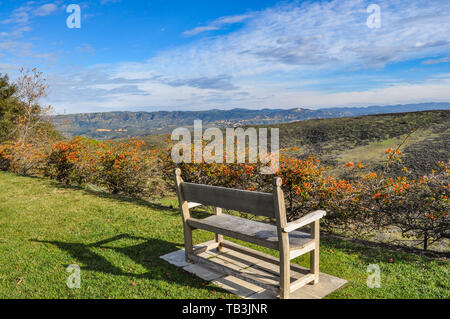 Holzbank mit Blick auf das Tal im Herbst Stockfoto