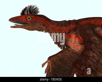 Dinosaurier microraptor Kopf - microraptor war eine fleischfressende fliegende Reptilien, die in China und der Mongolei in der Kreidezeit lebten. Stockfoto