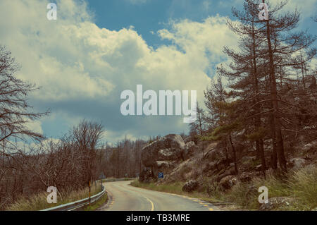 Gepflasterte Straße, die durch einen verbrannten Waldes über einen felsigen Landschaft der Serra da Estrela. Das höchste Gebirge auf dem portugiesischen Festland. Stockfoto
