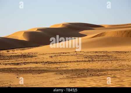 Schöne Konturen einer Kante der Sanddünen in der Abendsonne gefangen Kontrast der hellen gelben Wüstensand und die langen dunklen Schatten im Sudan Stockfoto