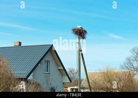 Storch im Nest in der Nähe des Hauses, Storchennest auf einer Säule Stockfoto