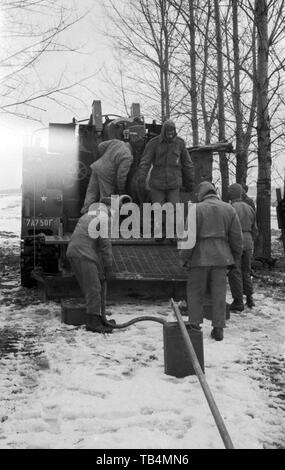 US-Armee/United States Army 74th Field Artillery Battalion - SELBSTFAHRLAFETTE M43 203 mm Gun Motor Carriage GMC M 43 8 Zoll Stockfoto