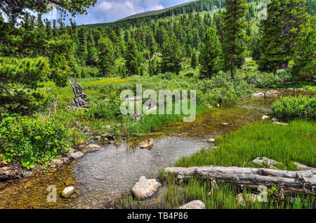 Clear Mountain Creek mit kaltem Wasser durch ein grünes Tal am sonnigen Sommertag fließende, Altai Gebirge, Russland. Hang des Hügels Stockfoto