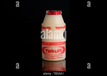 Yakult fermentierte Milch trinken auf schwarzem Hintergrund isoliert Stockfoto