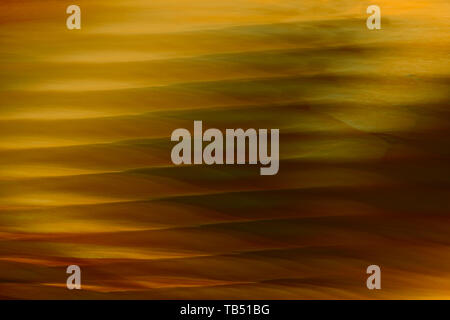 Abstrakte verschwommenen Hintergrund. Gold Linien und Kurven. Gestreifte Muster. Stockfoto