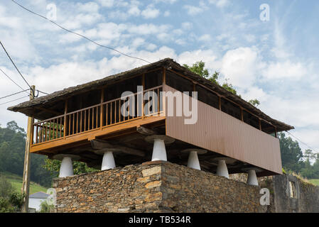 Ein hórreo, ein typischer Getreidespeicher, in dem Getreide gehalten wird, aus Holz oder Stein gebaut, der durch Säulen, die in flachen Sattelsteinen enden, aus dem Boden gehoben wird. Stockfoto