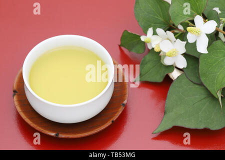 Hosta undulata 'cordata Tee, Gesund trinken, dokudami auf Tisch Stockfoto